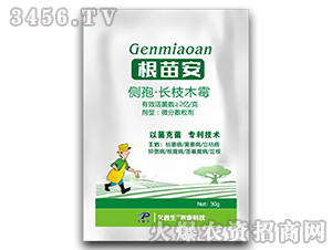 ��(c��)�ߡ��L֦ľù΢��ɢ����-���簲-������