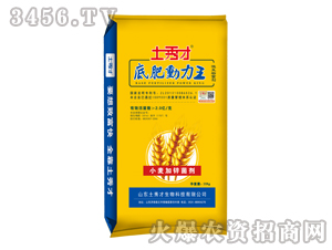 С�����\����20kg-�׷ʄ�����-�����