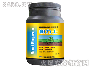 ̼Դ����ø�����̼���-����ʿ-������