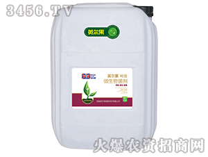 20kg΢�������-�~��-Ӣ����