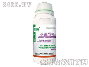 500ml�������2��-�Wِ��-�����f��