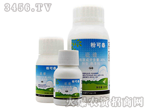 45%��ǑҸ���-�ۿ�̩-չ�i����