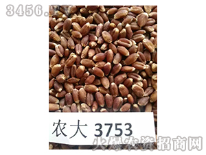 �r(n��ng)��3753-С���N��-�r(n��ng)�־G