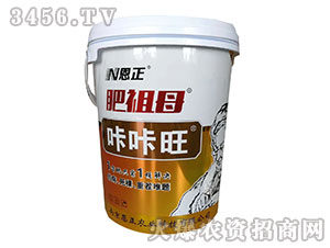 ����ĸ����-�����r(n��ng)�I(y��)