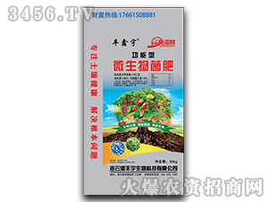 �����΢�������-�S����-�S������