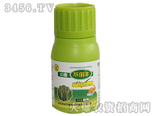 С�������S-�f�ڴ�