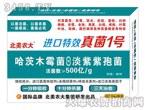 �M(j��n)�����1̖(h��o)-�����r(n��ng)��