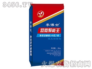 �p΢������-�ʿ-�����