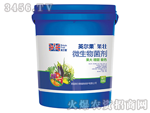 ΢�������-Ӣ��������-Ӣ����