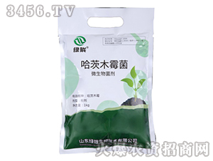 ����ľù��-�G�]