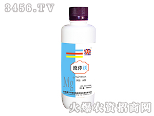 ���w�V-Ӣ���W��ɭ