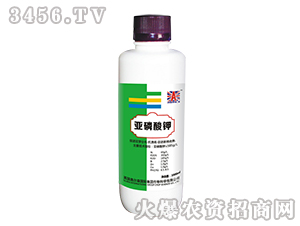 �������-Ӣ���W��ɭ