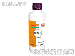 �Ǵ��}-Ӣ���W��ɭ