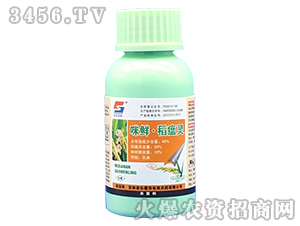 40%���r�������`����-������-�L�p�r(n��ng)ˎ