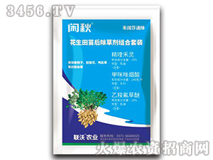 ��������݄��M�����b-�e��-(li��n)���r�I(y��)