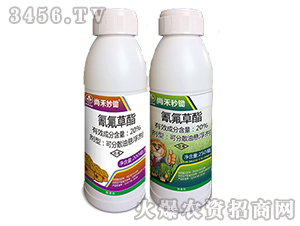 20%�������-�к����z-�к����_(d��)