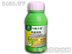 40%�������-�R��ǧ��-�к����_(d��)