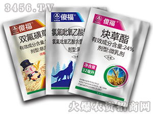 С������݄��M�����b-ɵ��-�к����_(d��)