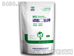 1000g��������-�׼t-���r(n��ng)˹�_(d��)