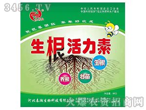 ����������-�����t-����