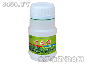 �~���-�~�o¶-��(qi��ng)�r(n��ng)����