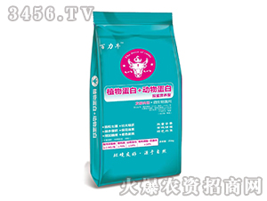 ֲ�ﵰ��+���ﵰ��΢�������-����ţ-��ķɳ