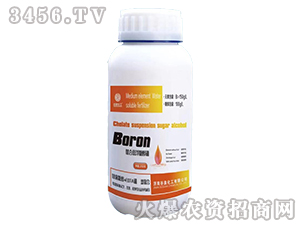 ���ϑҸ��Ǵ���-��Ȫ����