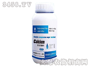 ���ϑҸ��Ǵ��}-��Ȫ����