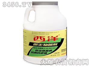 3kg΢�������-����-���󌍘I(y��)