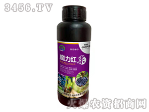 ���ѹ��������D(zhu��n)ɫ��-ħ���t��-��(qi��ng)�r(n��ng)����