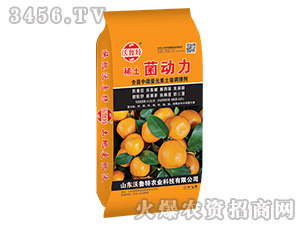 ϡ�������������ӌ��ã�-������