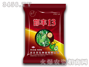 ���S13-���׷N��-��ʯ�N�I(y��)