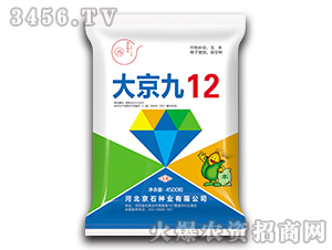 �󾩾�12-���׷N��-��ʯ�N�I(y��)