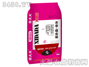 ���׾����ˎ��-ϲ���ˎ��-�읙���� 