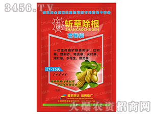 ��������݄�-�زݳ���-��(��i)�r(n��ng)˹�_(d��)