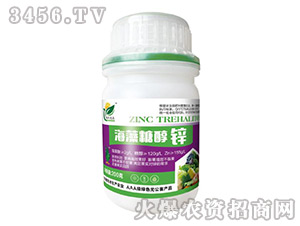 �����Ǵ��\-�����_(d��)�r(n��ng)-�����f��