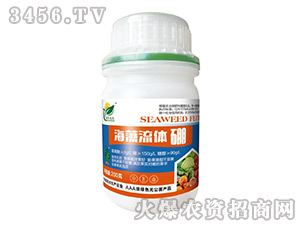 �������w��-�����_(d��)�r(n��ng)-�����f��