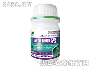 �����Ǵ��}-�����_(d��)�r(n��ng)-�����f��