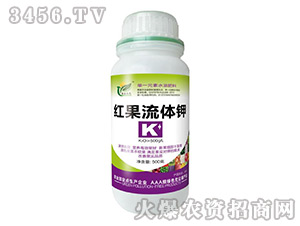 �t�����w�-�����_(d��)�r(n��ng)-�����f��