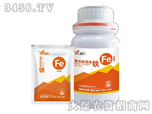 ���������w�F-�ڼژ�