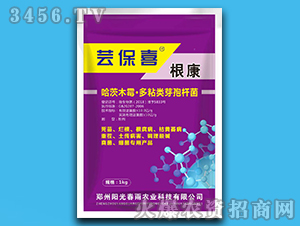 ����-�|��ϲ-ꖹⴺ��