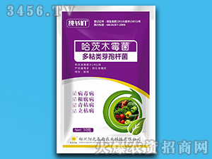 ΢�������-������-ꖹⴺ��