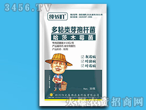 30g΢�������-������-�(y��ng)�ⴺ��