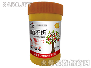 �������ЙC(j��)ƤĤ���o(h��)��-�񲻂�-��(qi��ng)�r(n��ng)����