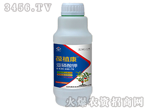 �������-��ֲ��-��(qi��ng)�r(n��ng)����