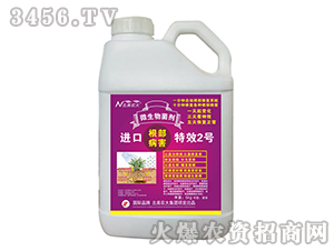 �M�ڸ�������2̖-�����r(n��ng)��