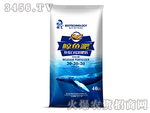 �~(y��)���׾�ጷ���20-20-20-�L�~(y��)��-����