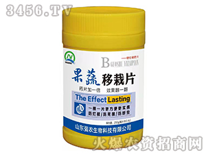 ��������Ƭ-���r(n��ng)����