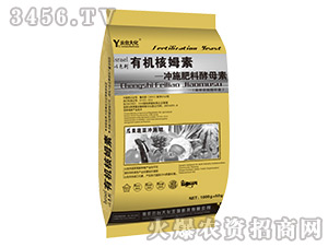 �ЙC(j��)��ķ�؛_ʩ���Ͻ�ĸ��-���_(t��i)�� 