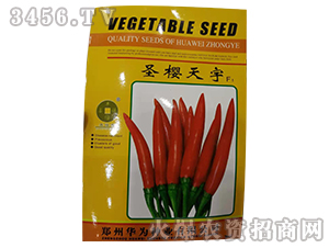 ʥ������-�����N��-�A��N�I(y��)